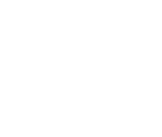 Logo Delovers